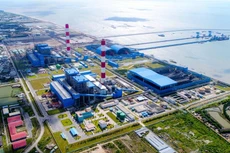 Ảnh chỉ mang tính minh họa. Nguồn Internet