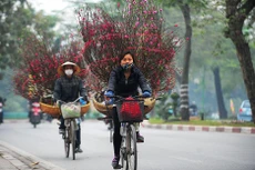 Bản tin thời sự sáng 5/12