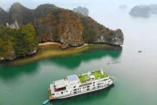 Hải Phòng - Quảng Ninh mở các tour du lịch nội vùng từ tháng 11