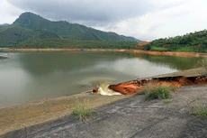 Ảnh chỉ mang tính minh họa. Nguồn Internet