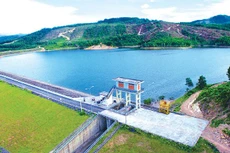 Ảnh chỉ mang tính minh họa. Nguồn Internet