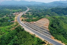 Ảnh chỉ mang tính minh họa. Nguồn Internet