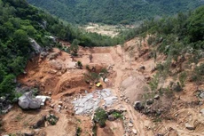 Trong 4ha đất trên núi Thị Vải bị san gạt, có tới 17.000m2 rừng phòng hộ.