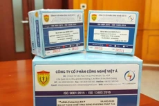 Thủ tướng Phạm Minh Chính yêu cầu Bộ Công an đẩy nhanh tiến độ điều tra, xác minh, mở rộng vụ án xảy ra tại Công ty CP Công nghệ Việt Á. Ảnh: TS