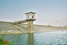 Ảnh chỉ mang tính minh họa. Nguồn Internet