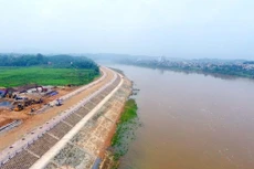 Ảnh chỉ mang tính minh họa. Nguồn Internet