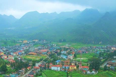 Ảnh chỉ mang tính minh họa. Nguồn Internet