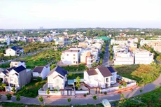 Ảnh chỉ mang tính minh họa. Nguồn Internet