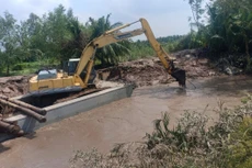 Ảnh chỉ mang tính minh họa. Nguồn Internet