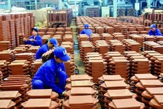 Ảnh chỉ mang tính minh họa. Nguồn Internet