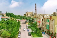 Vinachem sẽ bán đấu giá 21,235 triệu cổ phần sở hữu tại Công ty CP Supe Phốt phát và Hóa chất Lâm Thao