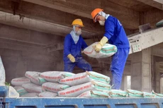 Ảnh chỉ mang tính minh họa. Nguồn Internet