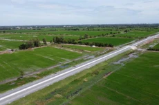 Tuyến Lộ Tẻ - Rạch Sỏi băng qua vùng Tứ Giác Long Xuyên. Ảnh Internet