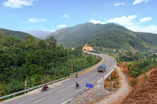 Ảnh chỉ mang tính minh họa. Nguồn Internet