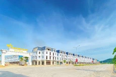 TNR Holdings Vietnam đảm bảo tiến độ hàng loạt dự án