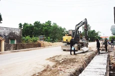 Ảnh chỉ mang tính minh họa. Nguồn Internet