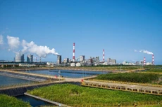 Ảnh chỉ mang tính minh họa. Nguồn Internet