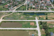 Thanh Hóa: Tạm dừng loạt cuộc đấu giá đất vì dịch, chuyển hướng sang đấu trực tuyến