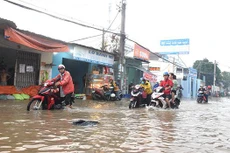 Chủ đầu tư đã thông báo hủy thầu Gói thầu XD công trình hệ thống thoát nước đường Nhơn Đức - Phước Lộc với lý do tất cả HSDT không đáp ứng yêu cầu. Ảnh chỉ mang tính minh họa. Nguồn Internet