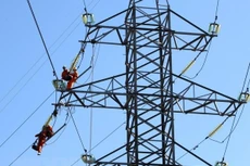 Ảnh chỉ mang tính minh họa. Nguồn Internet