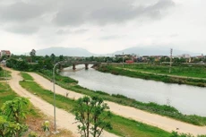 Ảnh chỉ mang tính minh họa. Nguồn Internet