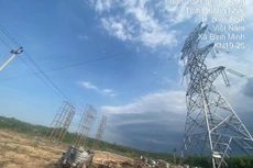 Thi công đường dây 500kV mạch 3 đoạn qua địa phận huyện Bình Sơn, tỉnh Quảng Ngãi