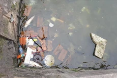 Chuyên gia đề xuất giải pháp cải thiện nước hồ Tây