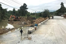 Ảnh chỉ mang tính minh họa. Nguồn Internet