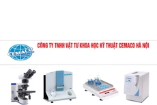 Ảnh chỉ mang tính minh họa. Nguồn Internet