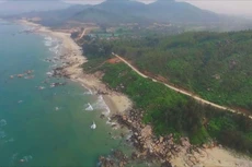 Ảnh chỉ mang tính minh họa. Nguồn Internet