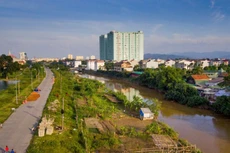 Ảnh chỉ mang tính minh họa. Nguồn Internet