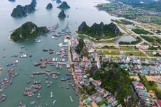 Ảnh chỉ mang tính minh họa. Nguồn Internet