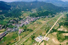 Ảnh chỉ mang tính minh họa. Nguồn Internet