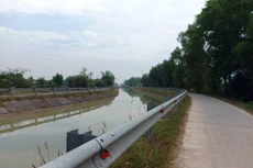 Ảnh chỉ mang tính minh họa. Nguồn Internet