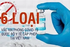 6 loại vắc xin phòng COVID-19 được cấp phép tiêm tại Việt Nam