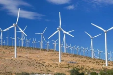 Ảnh chỉ mang tính minh họa. Nguồn Internet