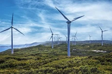 Ảnh chỉ mang tính minh họa. Nguồn Internet