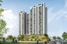 Ảnh chỉ mang tính minh họa. Nguồn Internet