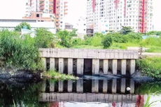 Ảnh chỉ mang tính minh họa. Nguồn Internet