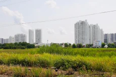 Hệ số điều chỉnh giá đất được dùng để tính tiền đền bù, giải phóng mặt bằng