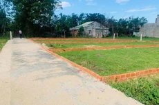 Đà Nẵng tập trung làm rõ việc chuyển mục đích từ đất rừng sản xuất, đất rừng phòng hộ, đất rừng đặc dụng sang các loại đất khác.