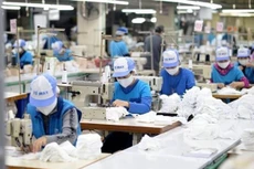 Theo Phó Thủ tướng, cần sự phối hợp của chính quyền và doanh nghiệp, doanh nghiệp cần thực sự lo cho công nhân. Ảnh: TTXVN
