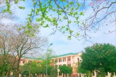 Ảnh chỉ mang tính minh họa. Nguồn Internet