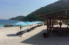 Ảnh chỉ mang tính minh họa. Nguồn Internet