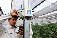 VNPT Technology cung cấp các thiết bị điện tử, viễn thông, công nghệ thông tin, các giải pháp tích hợp và dịch vụ kỹ thuật hàng đầu khu vực. 