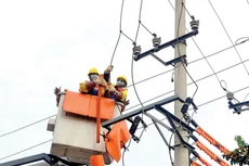 Ảnh chỉ mang tính minh họa. Nguồn Internet