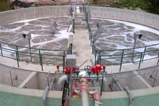 Ảnh chỉ mang tính minh họa. Nguồn Internet