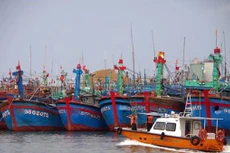 Tàu thuyền của ngư dân neo đậu trú bão. Ảnh: TTXVN