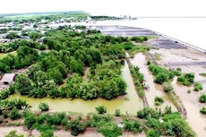 Ảnh chỉ mang tính minh họa. Nguồn Internet