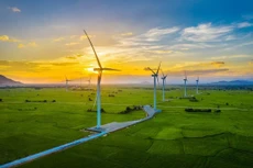 Bản tin thời sự sáng 8/11
